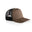 Walnut and Black